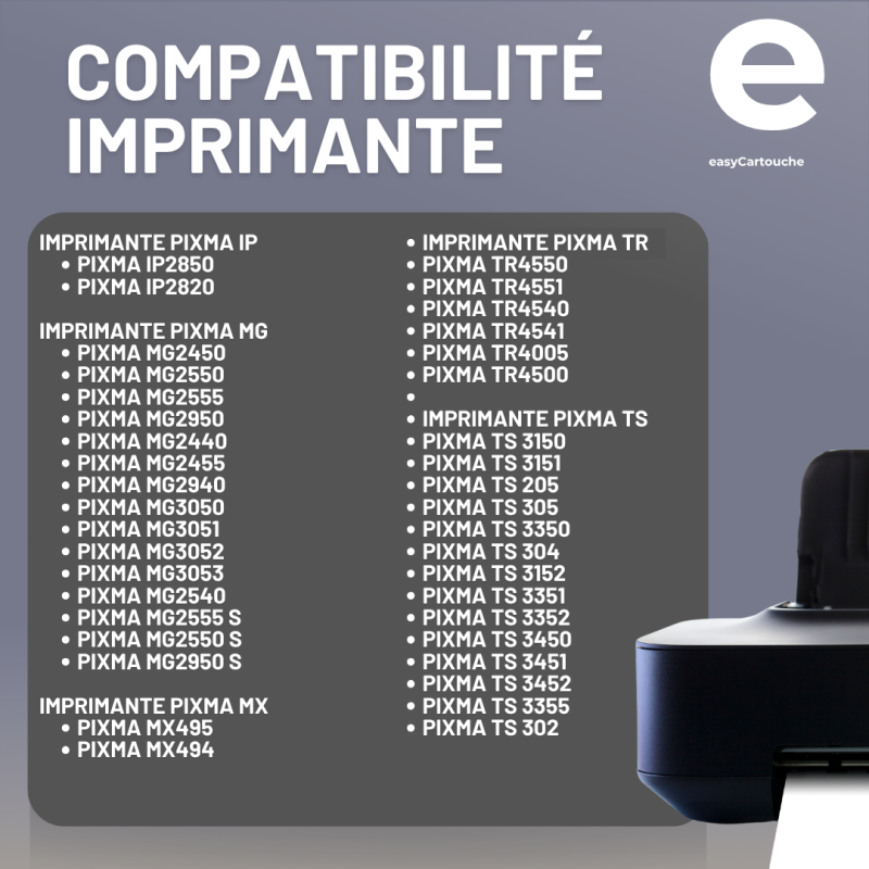 Cartouches D'Encre Compatibles Canon PG-545XL CL-546XL - Pack De 2 | Pour TS3150, MG2550S, MX495, Etc.
