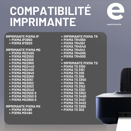 Pack compatible avec CANON PG-545 XL/CL-546 XL - sans niveau